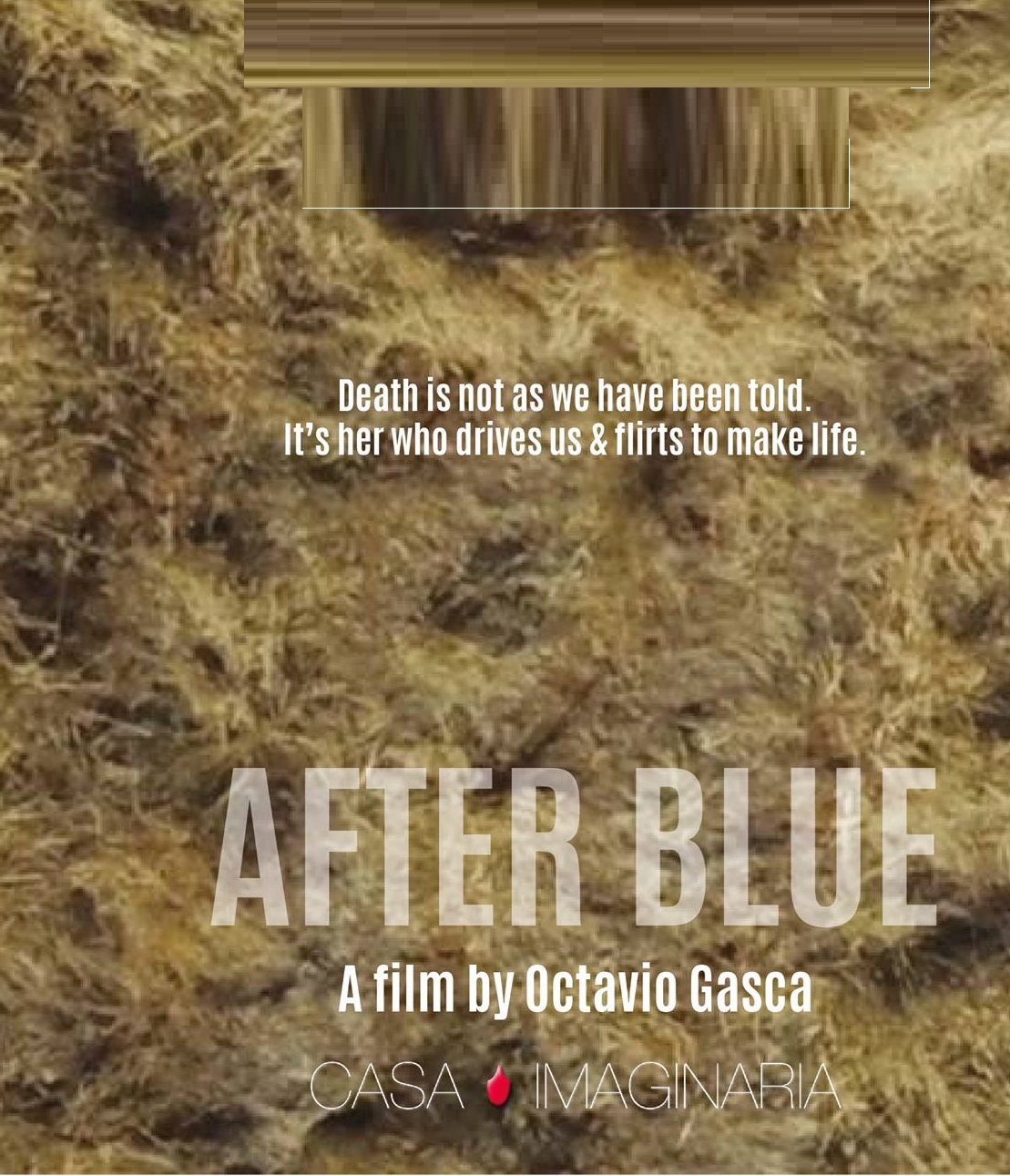 دانلود فیلم After Blue